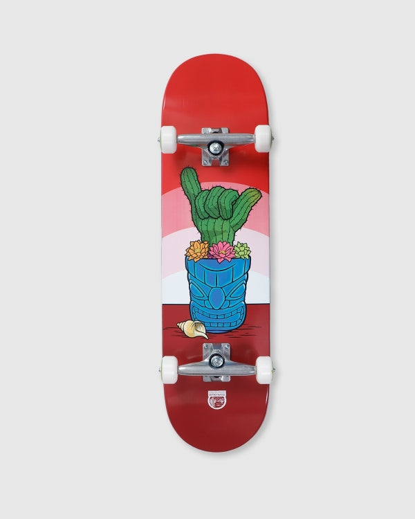 Deca 8.5 - Lookin Sharp "Murphys Cactus" - Complete Skateboard