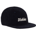 Dickies - Night Sky Corduroy - Cap